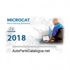 Hyundai Microcat 2018 programos instaliavimas
